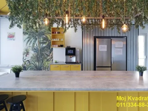 Izdavanje, poslovni prostor, 40m², Savski Venac, Beograd - image 10