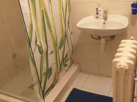 Prodaja, kuća, 239m², Fruška Gora, Novi Sad - image 18