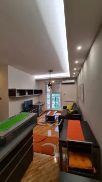 Izdavanje, jednosoban stan, 40m², Stari Grad, Beograd - image 4
