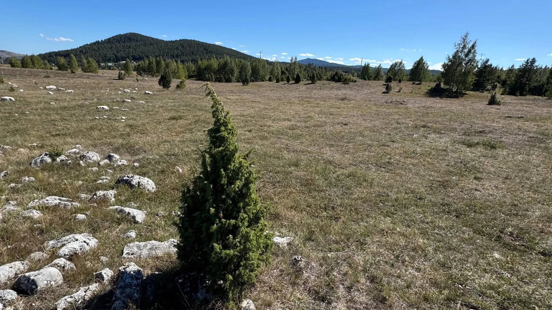 Prodaja, plac, 2063m², Borje, Žabljak