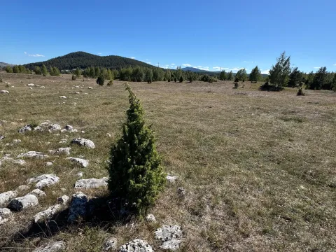Prodaja, plac, 2063m², Borje, Žabljak - image 6