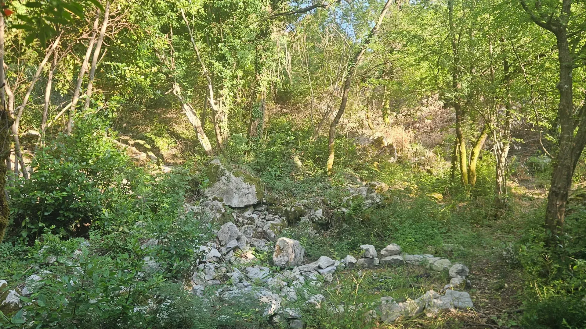 Prodaja, plac, 25000m², Lukovo, Nikšić