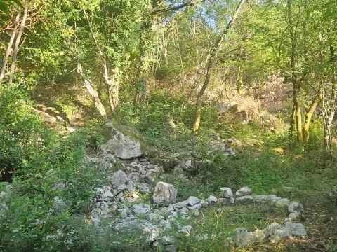 Prodaja, plac, 25000m², Lukovo, Nikšić - image 6