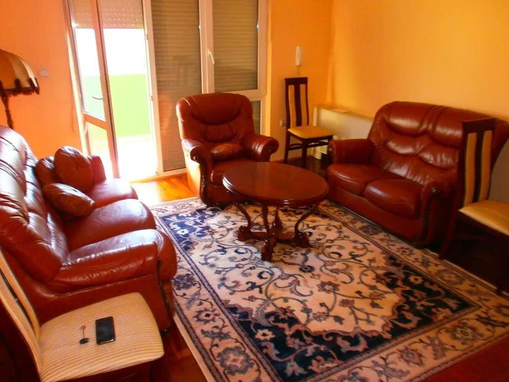 Dnevna soba sa kožnim garniturama i tepihom.