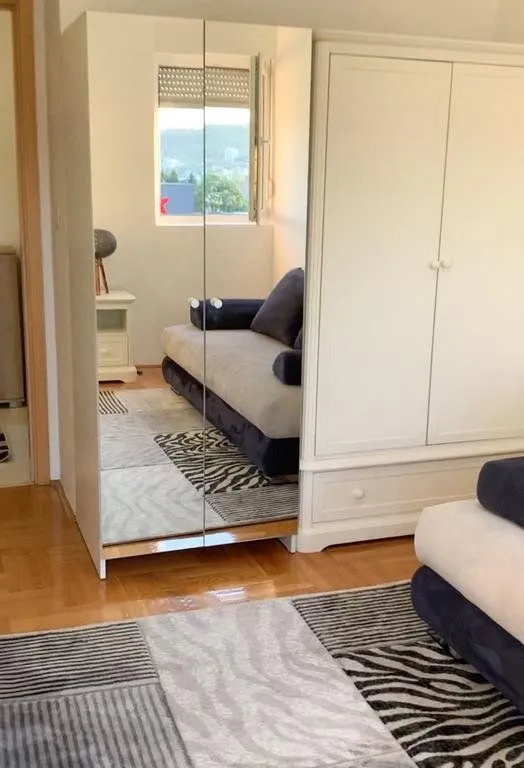 Izdavanje, jednosoban stan, 45m², Stari Aerodrom, Podgorica