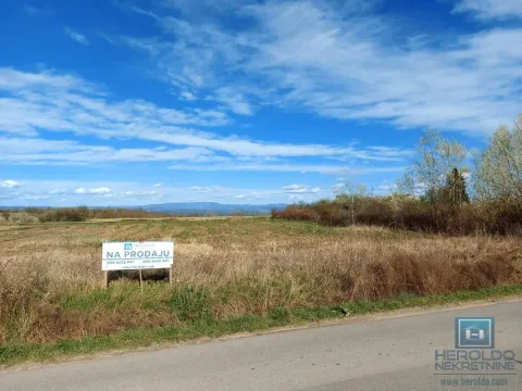 Prodaja, plac, 1500m², Lipar, Jagodina - image 6