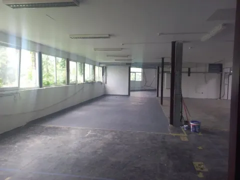 Izdavanje, poslovni prostor, 700m², Zemun Sve Podlokacije, Beograd - image 5