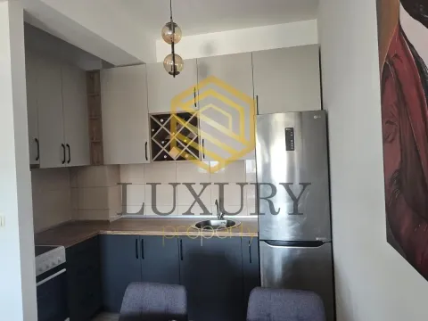 Rent, one bedroom apartment, 40m², Ljubović, Podgorica - image 6