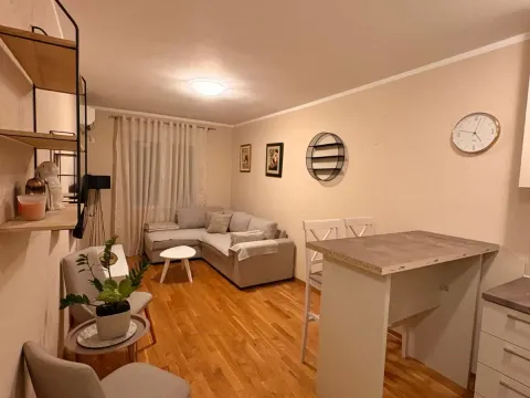 Rent, one bedroom apartment, 33m², Zabjelo, Podgorica - image 3