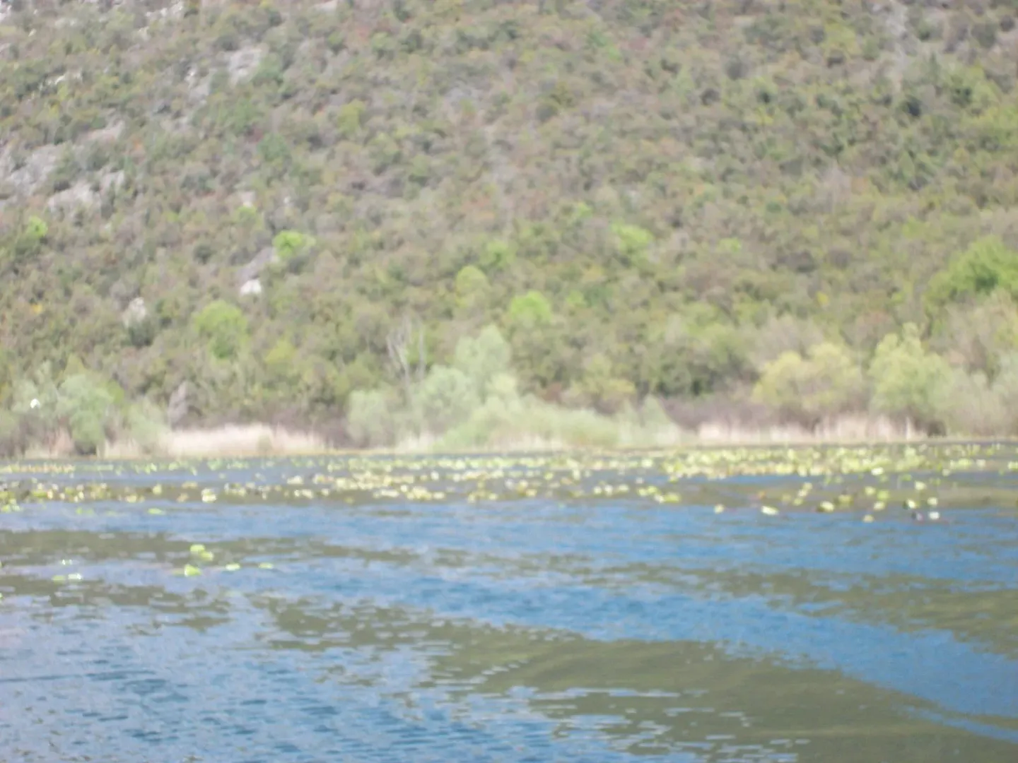 Pogled na jezero i pošumljeno brdo.