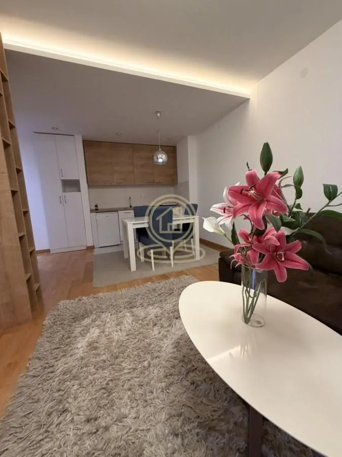 Izdavanje, dvosoban stan, 41m², Rotkvarija, Novi Sad Sve Podlokacije