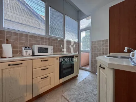 Izdavanje, jednosoban stan, 70m², Centar, Podgorica - image 7