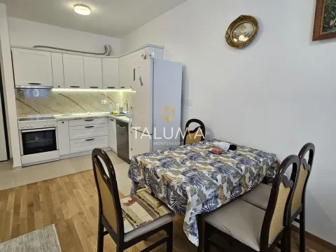 Izdavanje, jednosoban stan, 47m², Stari Aerodrom, Podgorica - image 3