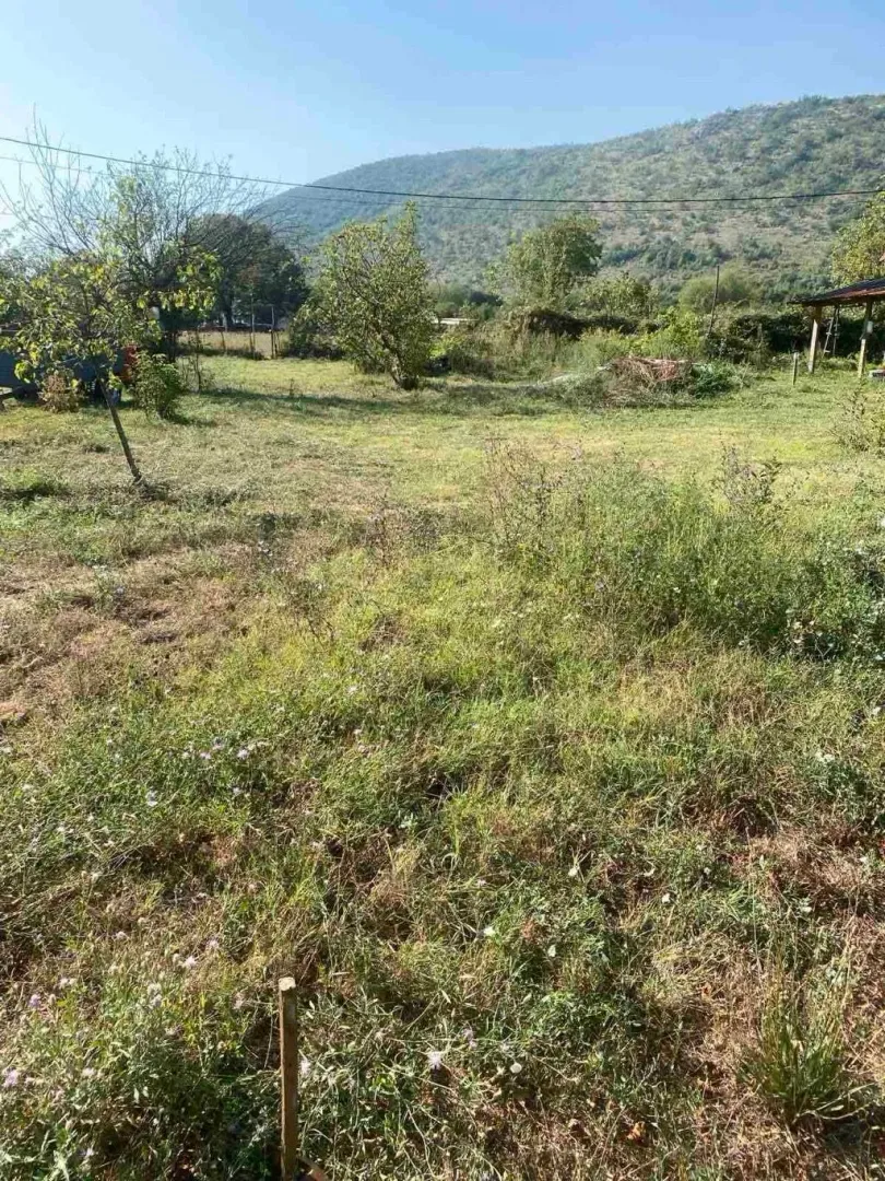 Pogled na prostrano travnato dvorište sa rastinjem i brdom u pozadini.