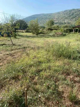 Pogled na prostrano travnato dvorište sa rastinjem i brdom u pozadini. - image 3