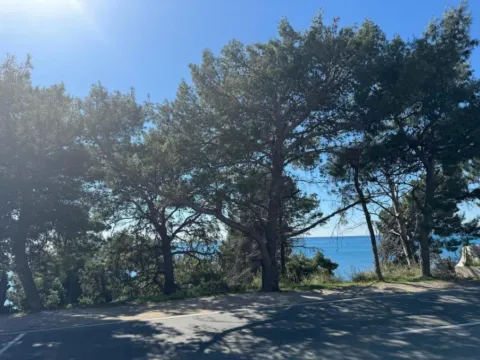 Rent, office space, 100m², Šušanj, Bar - image 3