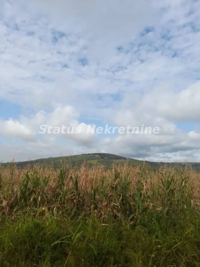 Prodaja, plac, 10800m², Banja Vrdnik, Irig