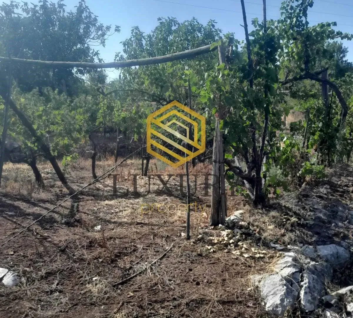 Prodaja, plac, 6348m², Ostalo, Podgorica