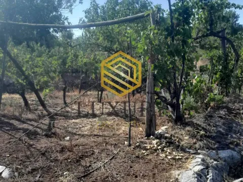 Prodaja, plac, 6348m², Ostalo, Podgorica - image 11