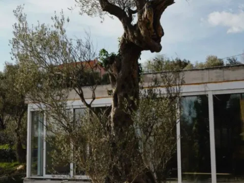 Sale, house, 120m², Burtaiši, Bar - image 5