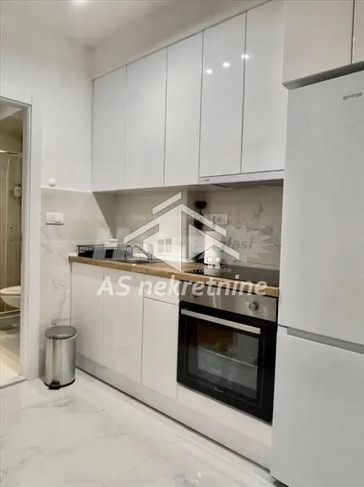 Izdavanje, dvosoban stan, 42m², Vračar Sve Podlokacije, Beograd