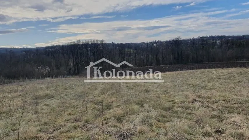 Prodaja, plac, 8000m², Dučina, Sopot