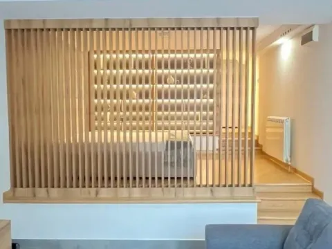 Izdavanje, jednosoban stan, 70m², Vračar Hram, Vračar Sve Podlokacije - image 5