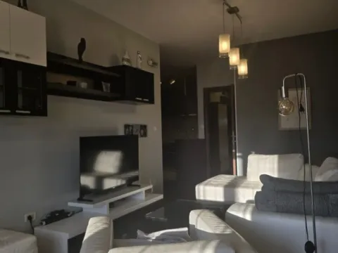 Izdavanje, jednosoban stan, 55m², Preko Morače, Podgorica - image 13