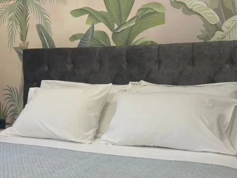 Izdavanje, jednosoban stan, 30m², Centar, Podgorica - image 13