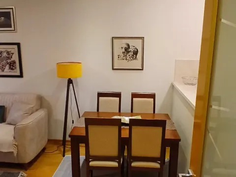 Rent, one bedroom apartment, 50m², Preko Morače, Podgorica - image 3