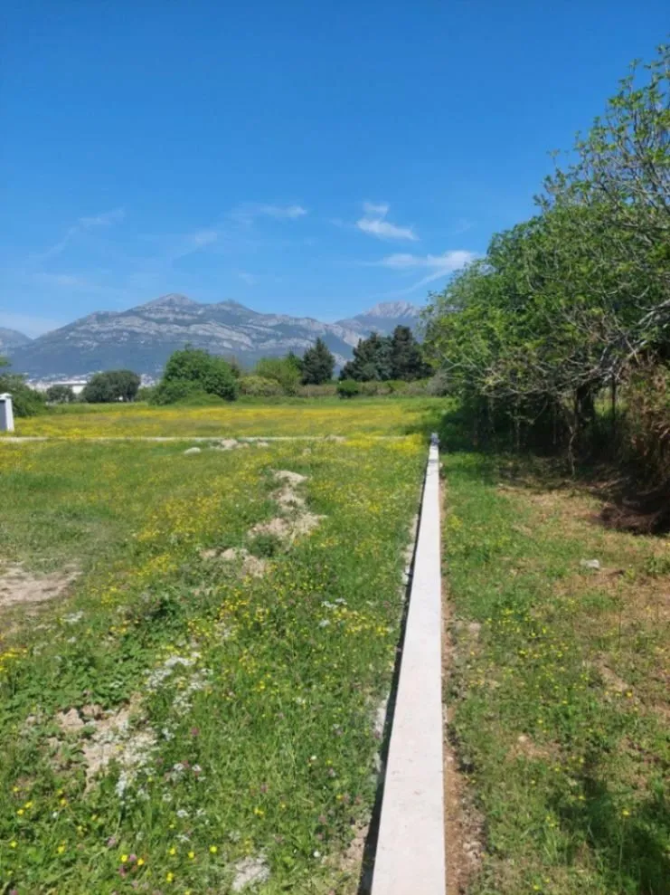 Prodaja, plac, 2606m², Polje, Bar