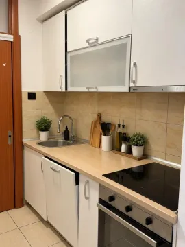 Manja kuhinja sa bijelim elementima, sudoperom i ugradnom pločom. - image 5