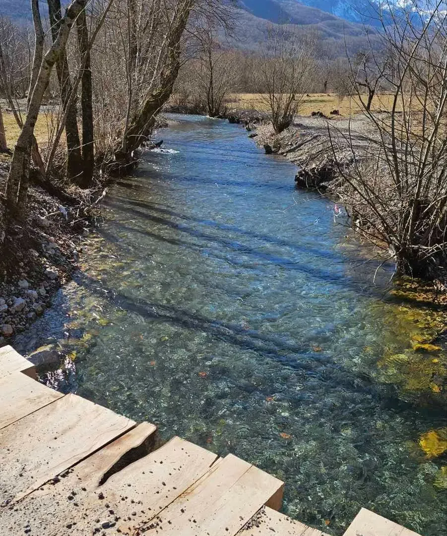 Prodaja, plac, 1600m², Kolašin, Crna Gora
