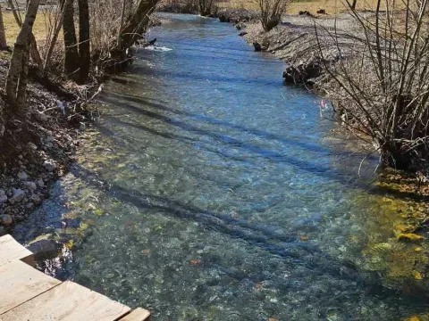 Prodaja, plac, 1600m², Kolašin, Crna Gora