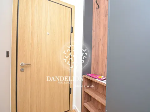 Izdavanje, jednosoban stan, 36m², Zabjelo, Podgorica - image 12