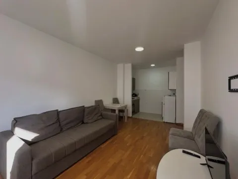 Rent, one bedroom apartment, 45m², Budva okolina, Budva - image 5