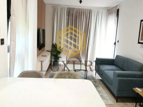 Rent, one bedroom apartment, 45m², Vezirov Most, Podgorica - image 5