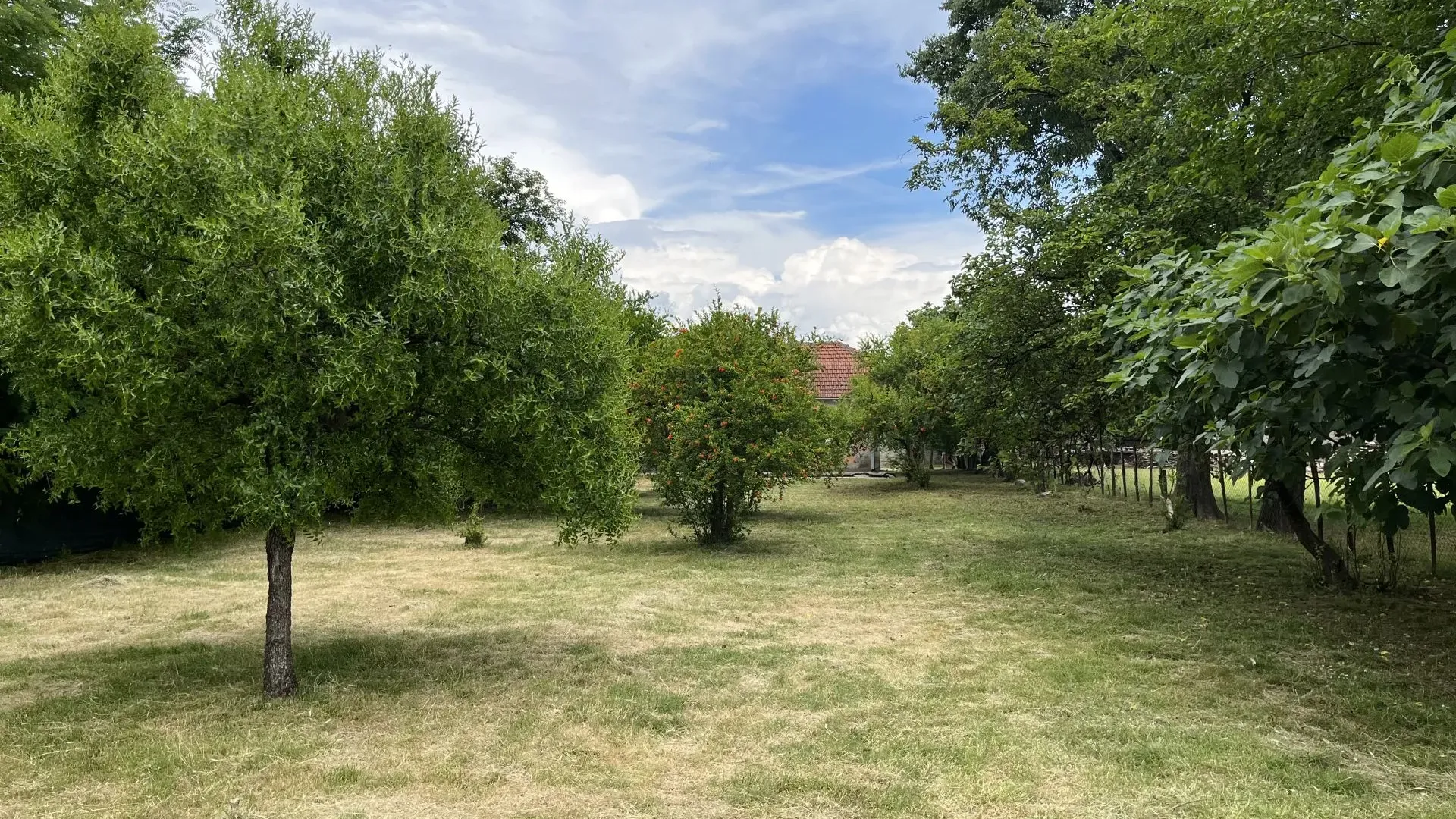 Prodaja, plac, 1533m², Podgorica, Crna Gora