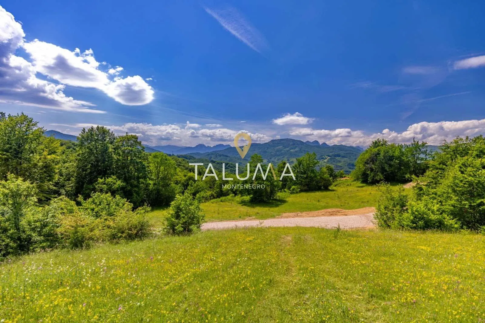 Prodaja, plac, 43527m², Kolašin, Crna Gora