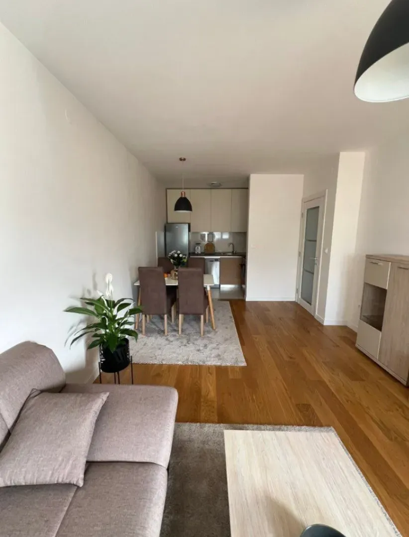 Izdavanje, jednosoban stan, 49m², Central Point, Podgorica