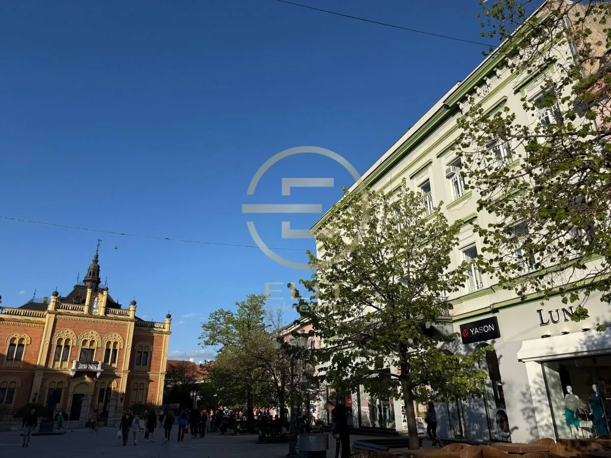 Rent, office space, 80m², Novi Sad Sve Podlokacije, Novi Sad