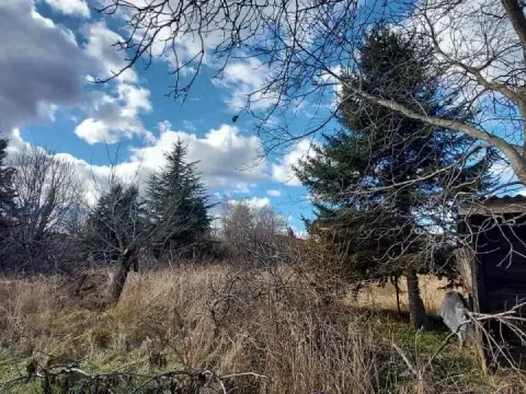 Prodaja, plac, 800m², Sremska Kamenica, Petrovaradin - image 3