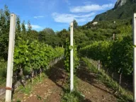 Sale, office space, 200m², Crmnica, Bar - image 8