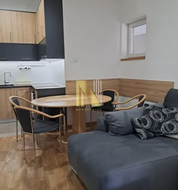 Izdavanje, dvosoban stan, 44m², Centar, Novi Sad