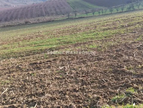 Pogled na prostrano poljoprivredno zemljište i oranice. - image 2