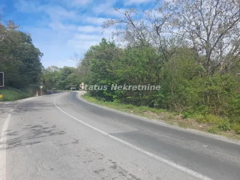 Asfaltni put okružen zelenilom i drvećem. - image 8