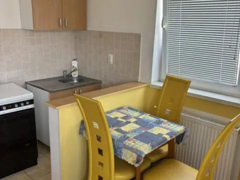 Rent, one bedroom apartment, 33m², Nova Detelinara, Novi Sad Sve Podlokacije - image 4