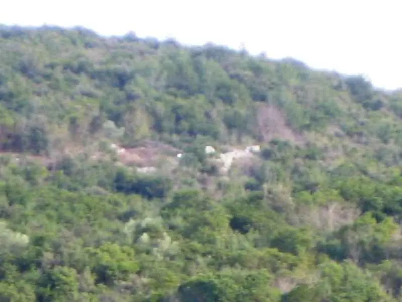 Pogled na zeleno brdo i šumu.