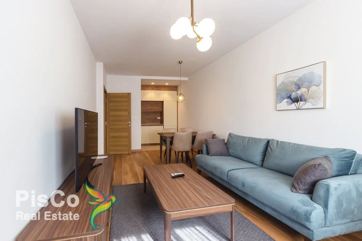 Rent, one bedroom apartment, 45m², New City, Podgorica