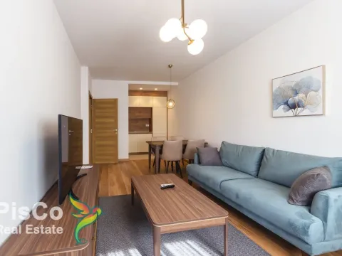 Izdavanje, jednosoban stan, 45m², New City, Podgorica - image 5